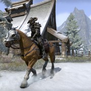 Elder Scrolls Online